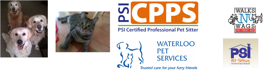 Contact Waterloo Pet Services