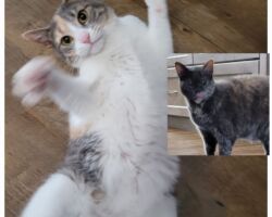 Maeve & Gertrude