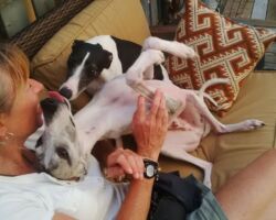 Linus & Lucy Linus & Lucy