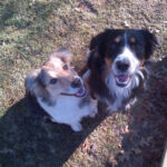 Chelsea & Mocha Chelsea & Mocha