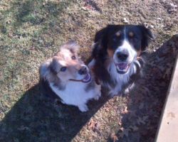 Chelsea & Mocha Chelsea & Mocha