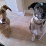 Skylar & Audie Skylar & Audie