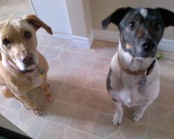 Skylar & Audie Skylar & Audie