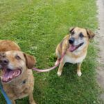 Chloe & Lucy