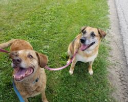Chloe & Lucy