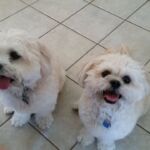 Ava & Tucker Ava & Tucker