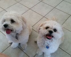 Ava & Tucker Ava & Tucker