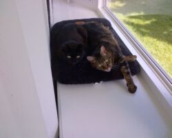 Calypso & Mika Calypso